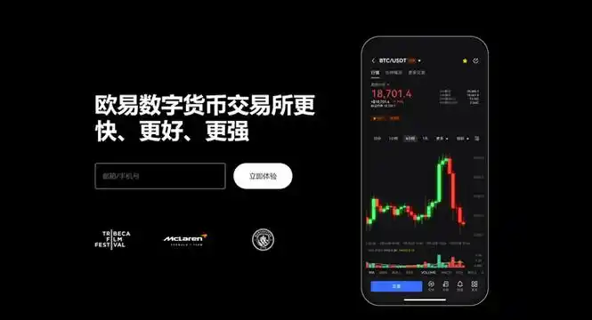 欧易-OKX平台展示图